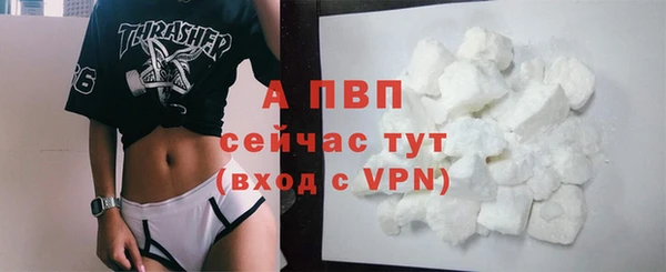 мяу мяу мука Абаза