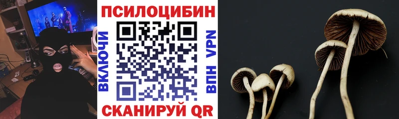 Галлюциногенные грибы Psilocybine cubensis  blacksprut как зайти  Абинск 